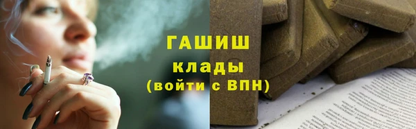 хмурый Алзамай