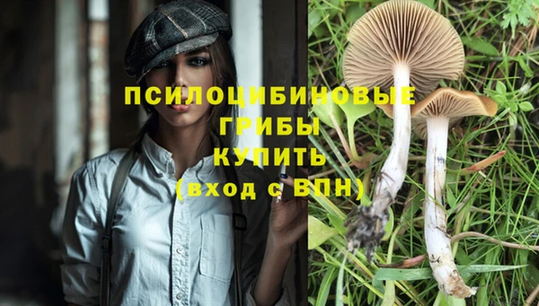 дурь Алексин