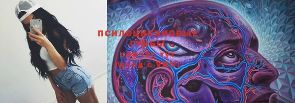 хмурый Алзамай