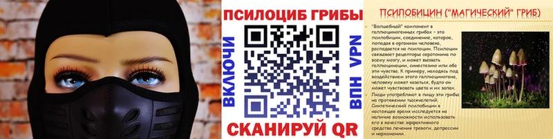 Псилоцибиновые грибы Psilocybe  Льгов 